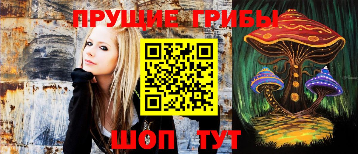 Псилоцибиновые грибы мицелий  Псилоцибиновые грибы MAGIC MUSHROOMS  Заволжье  Вход с VPN 
